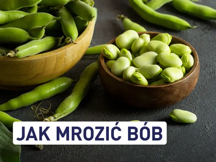 Świeży bób w łuskach i wydłubany, gotowy do mrożenia. Dowiedz się, czy bób można mrozić i jak to zrobić.